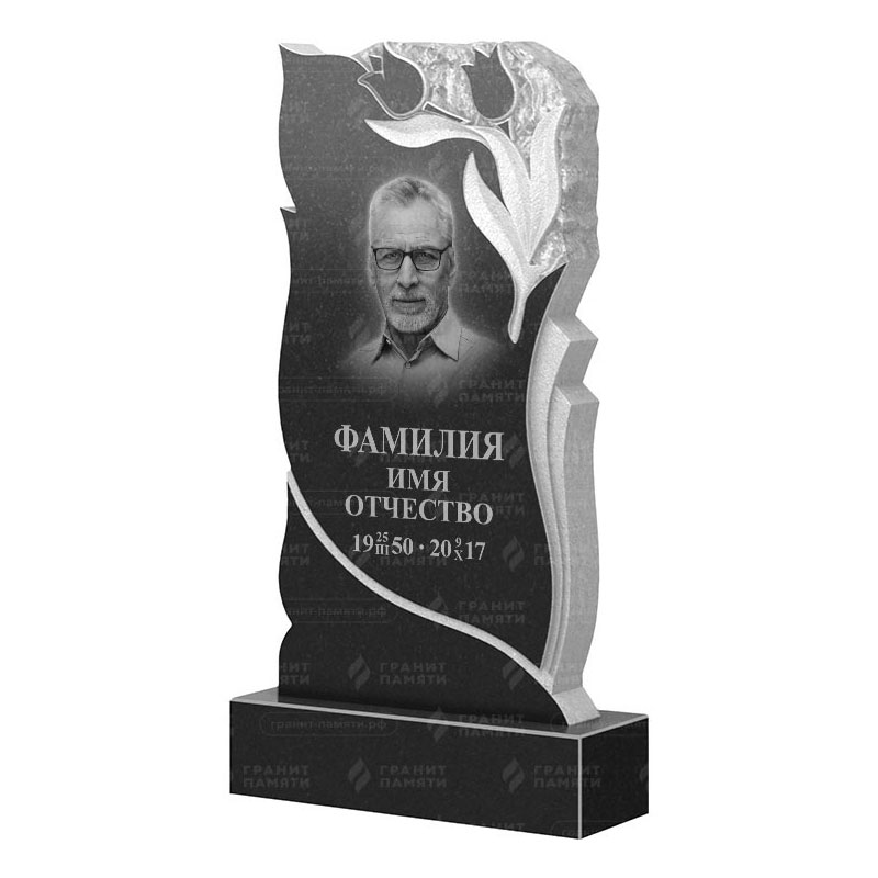 Гранитные памятники в&nbsp;Москве | Гранитный памятник ФГ-223